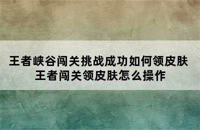 王者峡谷闯关挑战成功如何领皮肤 王者闯关领皮肤怎么操作